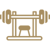 gimnasio2